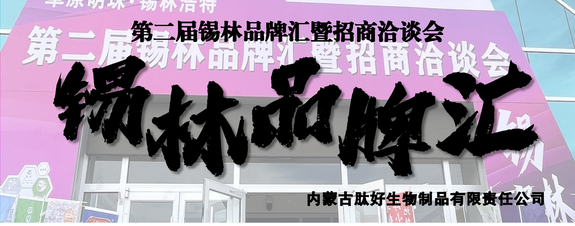 新建 PPTX 演示文稿_01.png